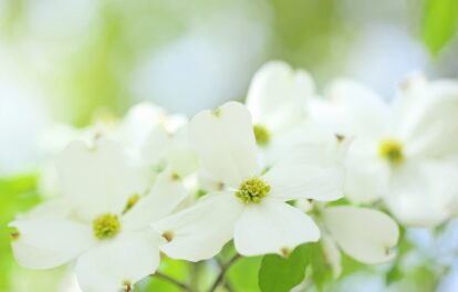 5月