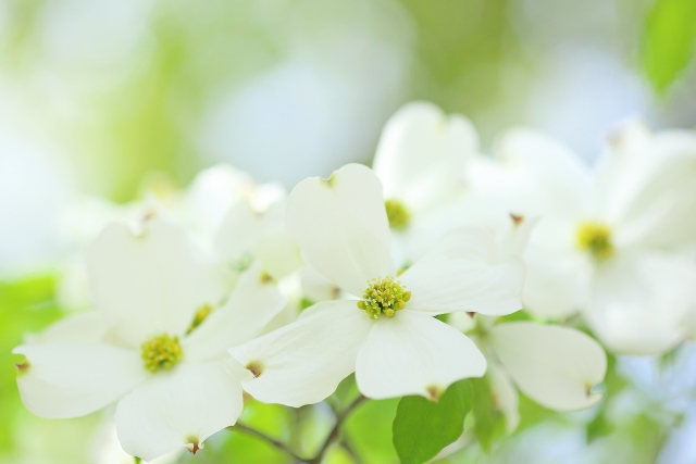 5月