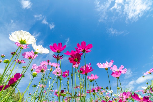 9月